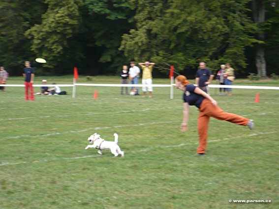 Stromovka Disc Dog freestyle