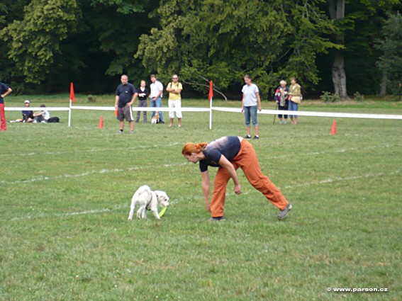 Stromovka Disc Dog freestyle