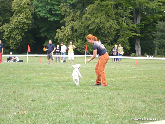 Stromovka Disc Dog freestyle