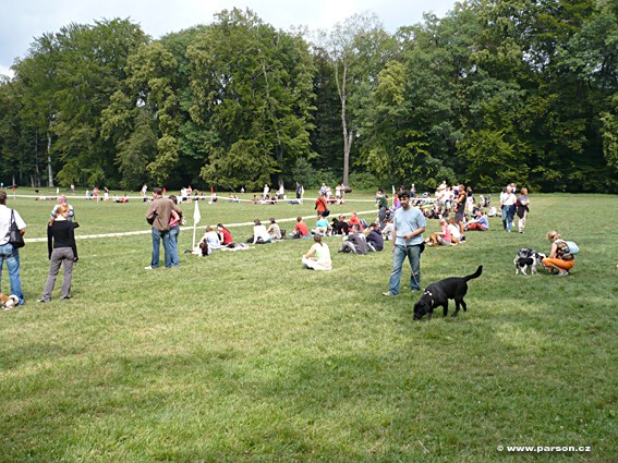 Stromovka Disc Dog freestyle